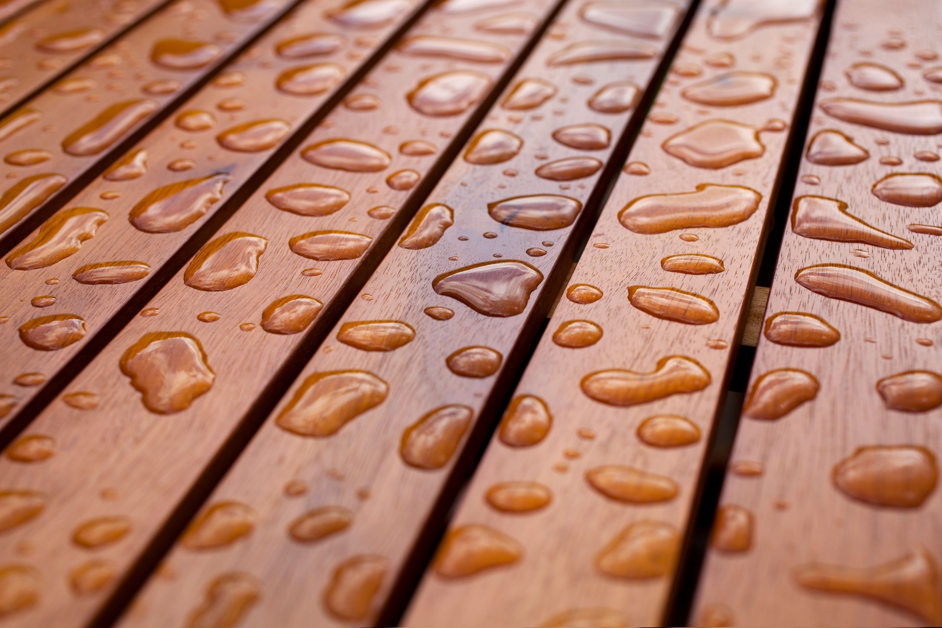 Water droplets on wood